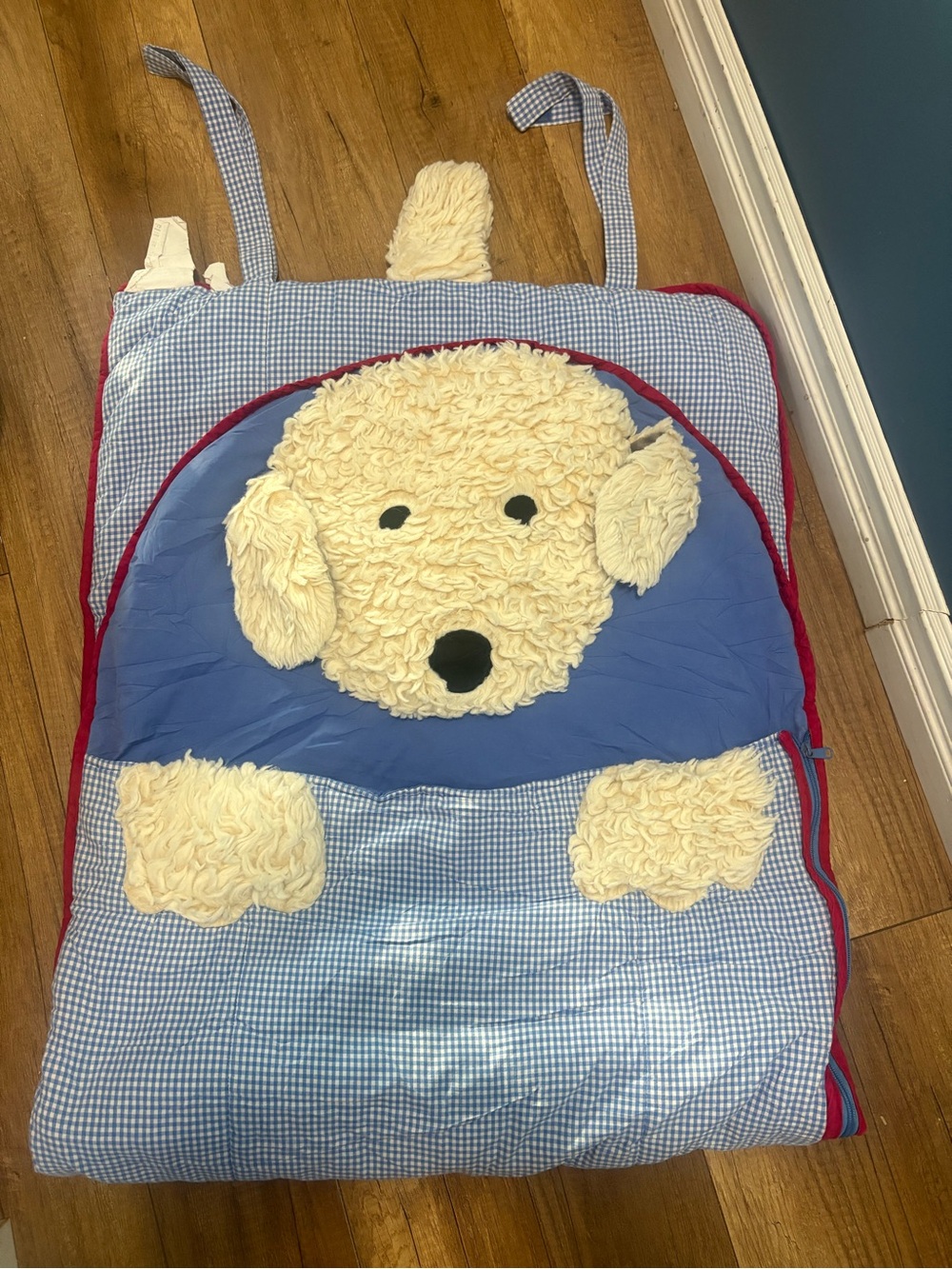 Pottery Barn Kids blue gingham shaggy puppy sleeping bag